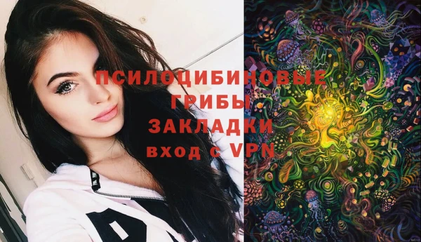 не бодяженный Краснотурьинск