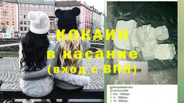 сатива Куйбышев