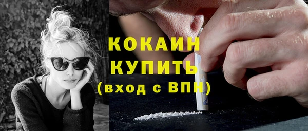 прущие крисы Кулебаки